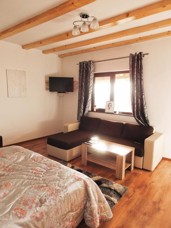Vila Sofia Haţeg 외부 사진